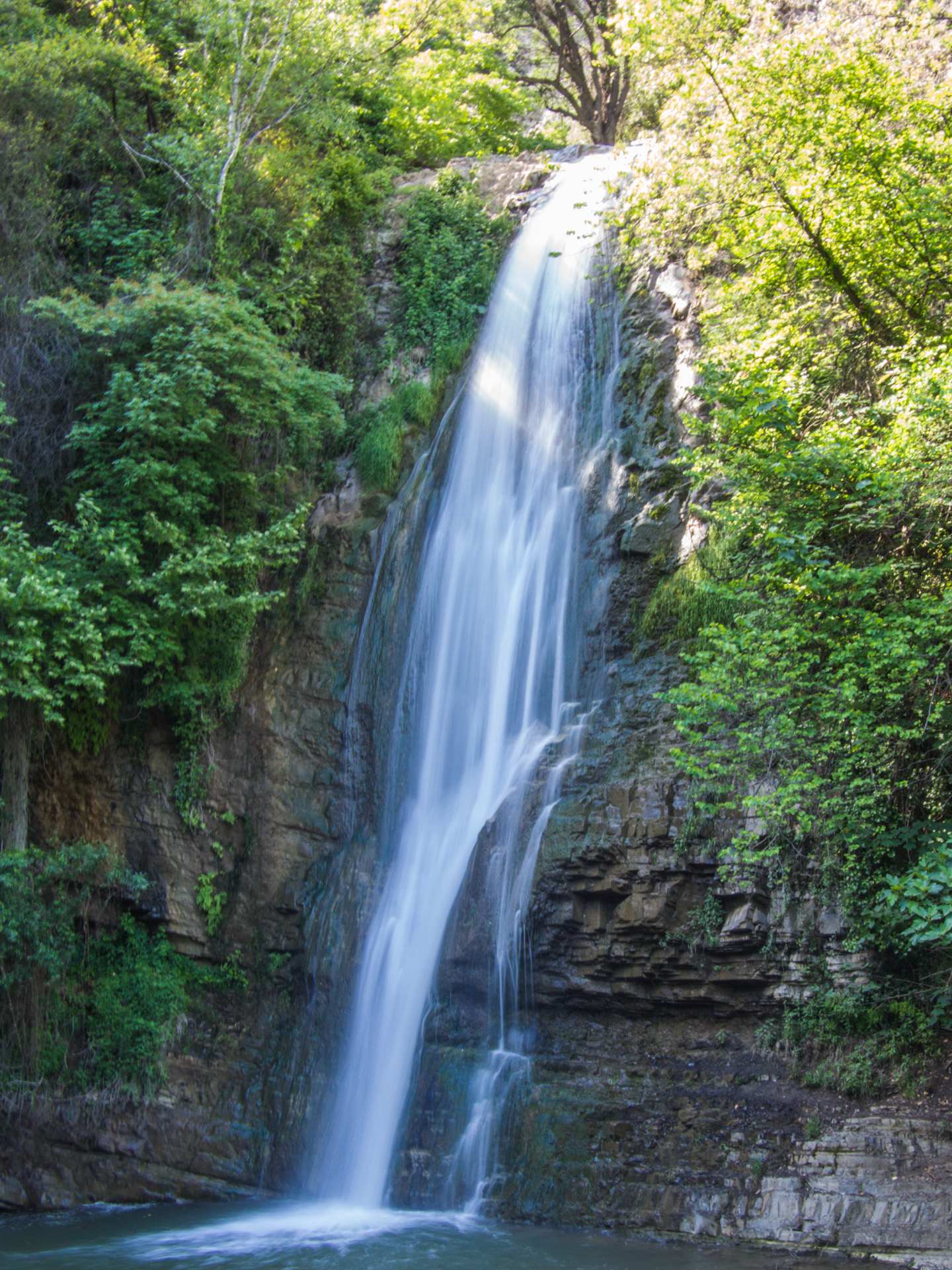Georgia